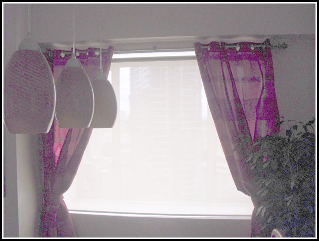 Roller Shades with Curtains in Manila Philippines
