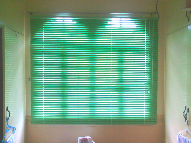 Dark Apple Green Color of Mini Blinds Installed in an Arch-Shaped Windows