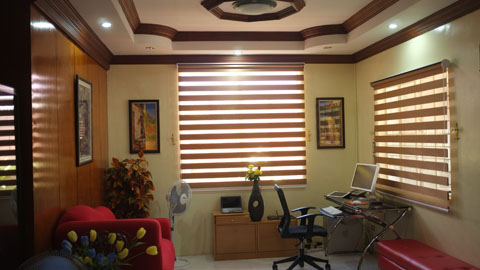 Combi Blinds